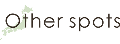 other-spot